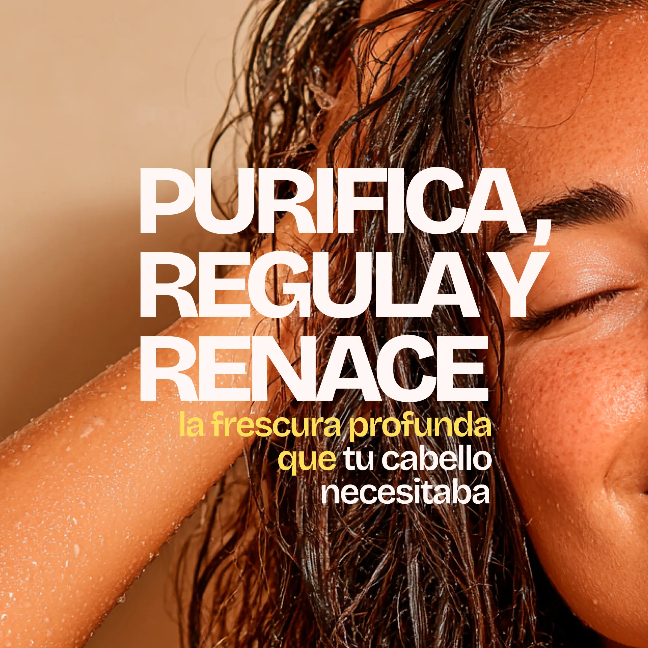 Imagen del producto 18