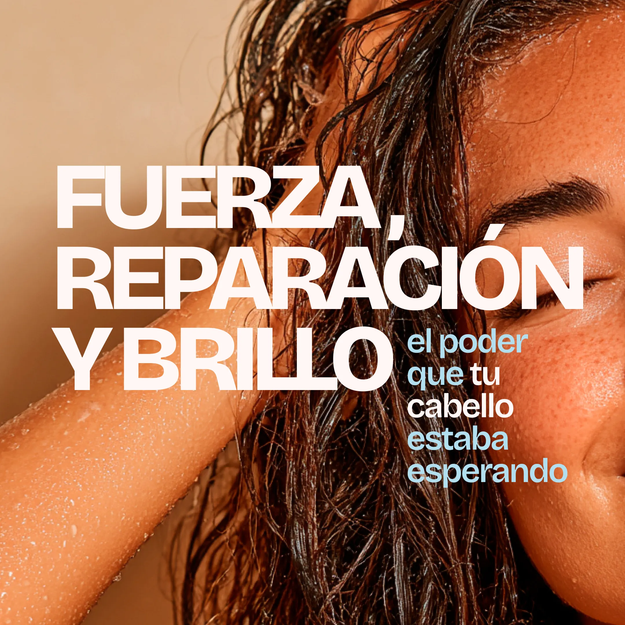 Imagen del producto 48