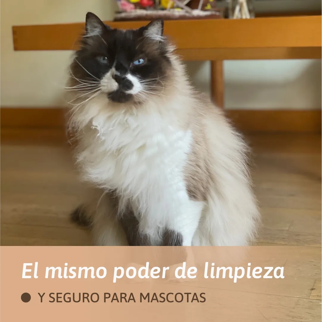 Imagen del producto 5