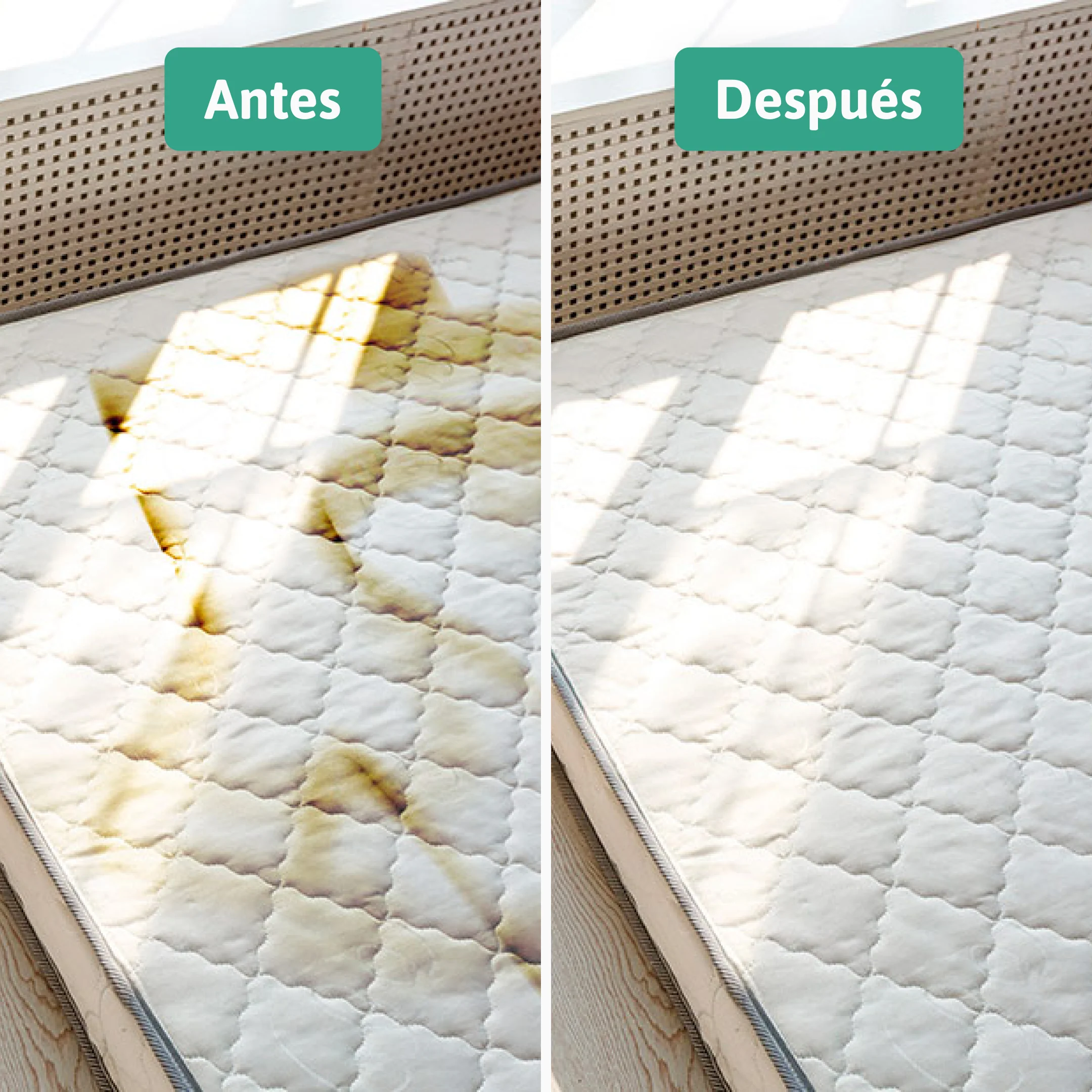 Imagen del producto 9